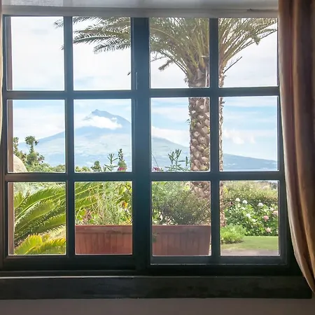 Oda ve Kahvaltı Vila Belgica