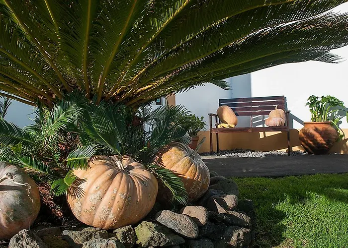 Bed & Breakfast Vila Belgica Horta (Azores)