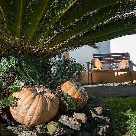 Bed & Breakfast Vila Belgica Horta (Azores)